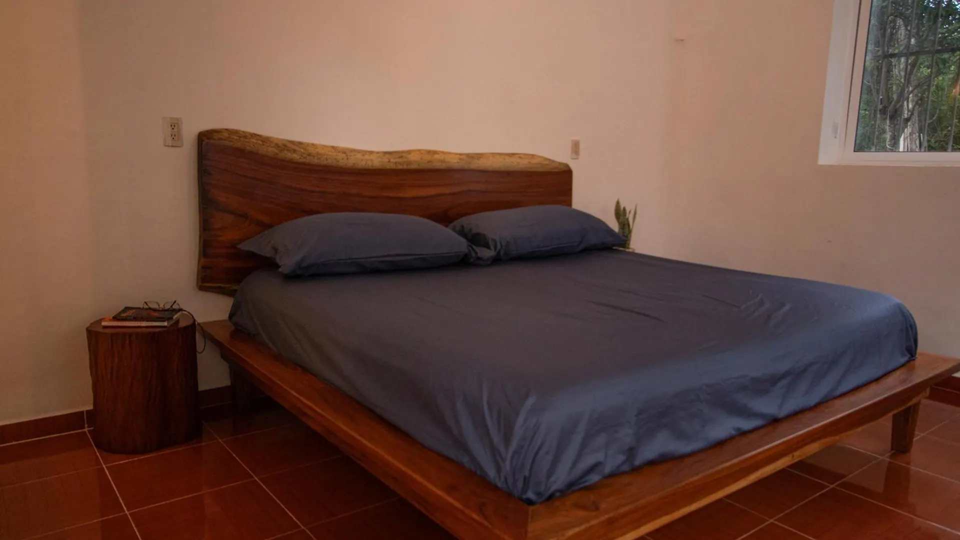 Cenote Popol Vuh Guest House Leona Vicario