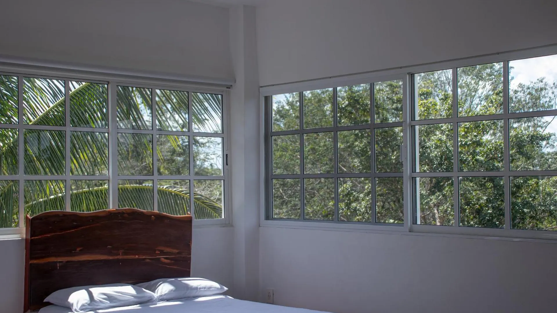 Country house Cenote Popol Vuh Guest House Leona Vicario